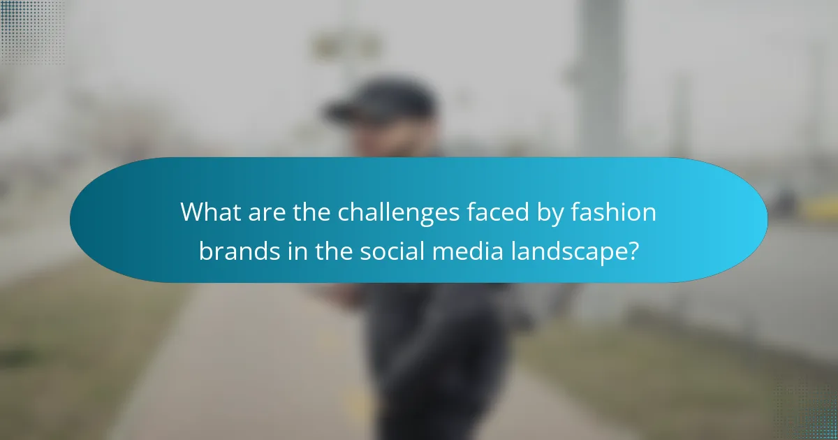 What are the challenges faced by fashion brands in the social media landscape?