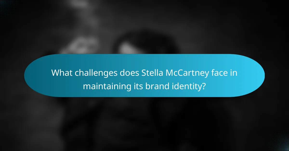 What challenges does Stella McCartney face in maintaining its brand identity?
