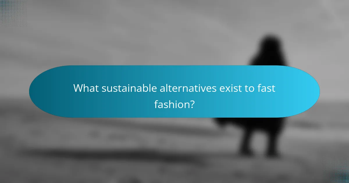 What sustainable alternatives exist to fast fashion?